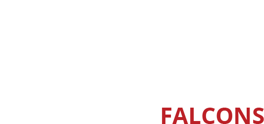 Accounting Falcons LLC